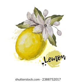 Watercolor lemon and flower on a white background