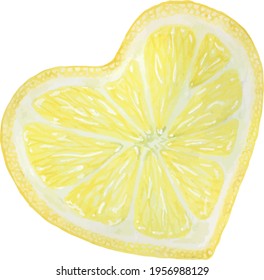 Watercolor lemon slice  Hand draw juicy lemon  Watercolor Sketch