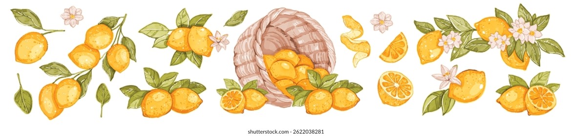 Watercolor lemon summer fruit collection, Italian citrus hand drawn wedding decor illustration. Botanical Amalfi nature elegant Mediterranean flower leaf branch design. Floral watercolor lemon clipart