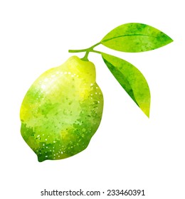 Watercolor lemon vector