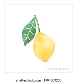 Watercolor lemon vector icon. Isolated yellow fruit with a green leaf. Cute healthy food illustration. Organic citrus design.