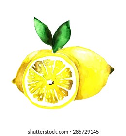 Watercolor lemon. Vector illustration