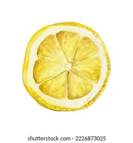 Watercolor lemon. Vector illustration. Hand drawn citrus. Fresh yellow lemon fruit.