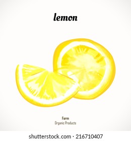 Watercolor lemon yellow. Ripe citrus. Watercolor paintings of organic food. Veggie menu.