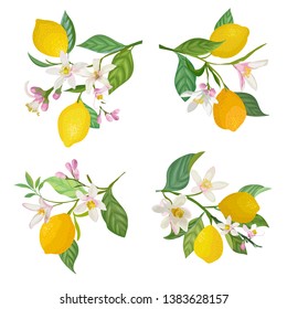 Watercolor lemons hanging on branch with leaves and flowers for posters, summer vibrant banners, cover design templates, social media stories, spring wallpapers. Vector illustration