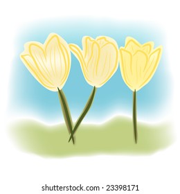 Watercolor like illustration of tulips