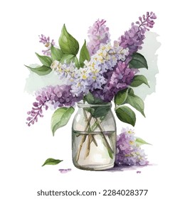 Acuarela Flores de Lilac en jarrón. Vector aislado sobre fondo blanco.