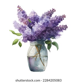 Wasserfarbe Lilac Blumen in Vase. Vektorgrafik einzeln auf weißem Hintergrund.