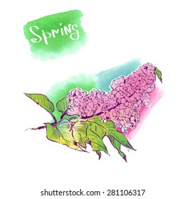 Watercolor lilac.Delicate flower hand drawing on a blue background. Ideal for the card design or invitation.