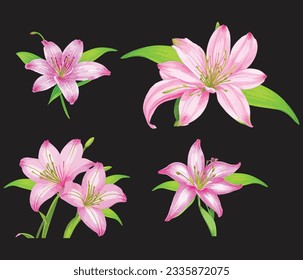 Watercolor lily flower. Pink flowers with green leaves and berries. Hand painted artwork with petals. Artistic flowers.