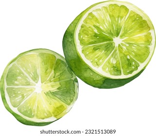 Watercolor Lime Illustration. Hand-drawn fresh food design element isolated on a white background.