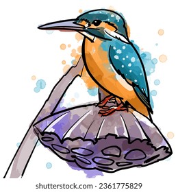 Watercolor and line art vector illustration of small forest bird kingfisher.