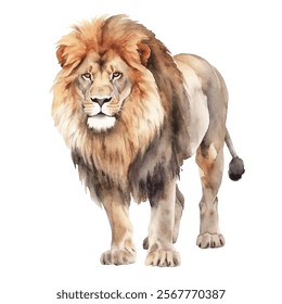 watercolor Lion isolated white background