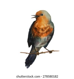 Watercolor little bird. Hand drawn isolated wild life illustration with tree branch and brown bird. Vector art