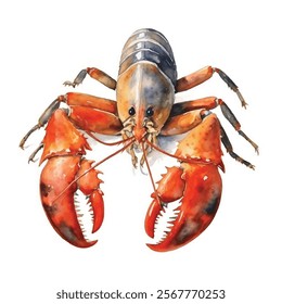 watercolor Lobster isolated white background