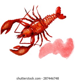 Watercolor lobster.  Simple painting sketch in vector format.