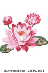 Watercolor lotus flower on white background