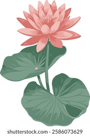 Watercolor lotus flower on white background
