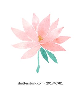 Watercolor lotus flower pink. Vector painted decorative element isolated on white background