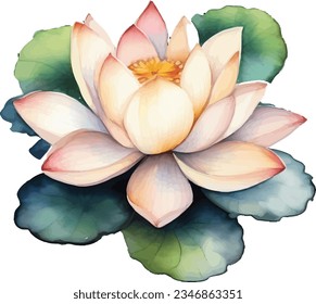 a watercolor lotus vector element