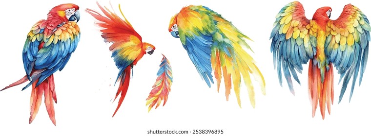 Watercolor macaw vector illustration. Vibrant macaw with abstract feathers, long tail, and majestic wings in flight, isolated on white background.