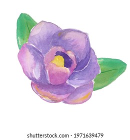 Watercolor magnolia flower, vector image, large resolution, flowers in watercolor, vector watercolor, illustrations for design, lilac color