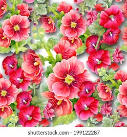 Watercolor mallow flowers seamless pattern on white background vector