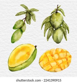 watercolor mango element collection set