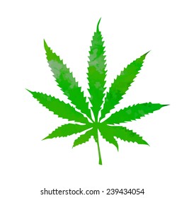 watercolor marijuana. Vector 