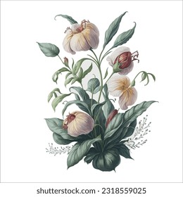 Aquarell Masdevallia Vektor: Diese künstlerische Vektorgrafik zeigt die zarte Schönheit der Masdevallia Orchideen in Aquarellfarben.