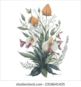 Watercolor Masdevallia vector: This artistic vector illustration portrays the delicate beauty of Masdevallia orchids in a watercolor style.