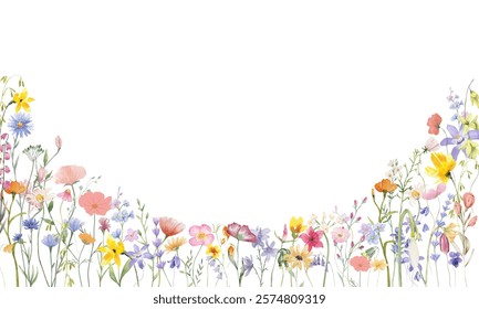 Watercolor meadow flowers border of poppy, chamomile, buttercup, campanula and sage. Hand painted floral card of wildflowers isolated on white background. Illustration for design, print, background.