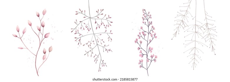 Watercolor meadow  flowers isolated on white floral collection of berries, leaves, twigs, bunch in pastel pink purple violet botanical style, wedding design elements