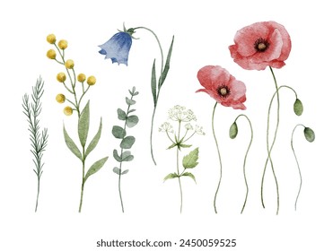 Watercolor Meadow Wild Flowers Collection	