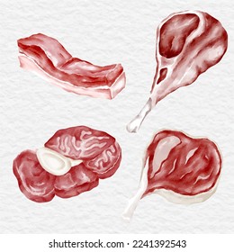 watercolor meat steak element set collection