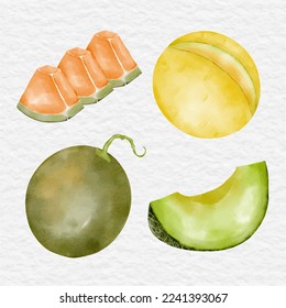 watercolor melon and cantaloupe clip art collection