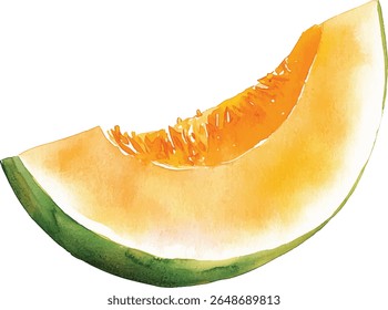 Melão de aquarela Fatia - Suculento Verão Fruit vetor ilustração