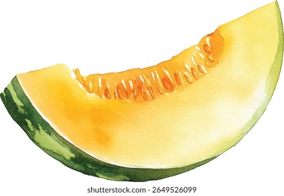 Melão de aquarela Fatia - Suculento Verão Fruit vetor ilustração