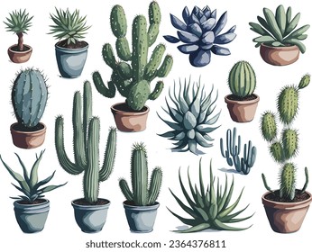 Watercolor Mexican cacti set. Hand painted floral collection with desert cacti, agave. Botanical illustration isolated on white background for design, print, fabric or background