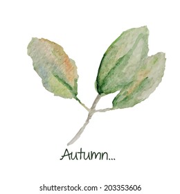 Watercolor minimalist  hand drawn vector image of autumn leaves. 