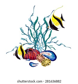 Watercolor Moorish Idol, Coral, Sea Urchin Shell & Shell vector design template. Elegant concept for Aquarium, Nautical tourism. Marine Elements for your design. Sea card, postcard & invitation.