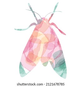 Watercolor moth vector. Pastel colors pink and green. Cute moth. Isolated object on a white background.
