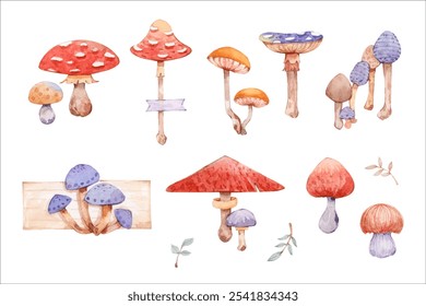 Watercolor Mushroom Clip Art Collection