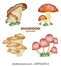 watercolor mushroom clip art element vegetable cartoon