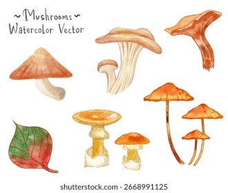 Watercolor Mushroom Collection. Colorful mushroom vector for creative design.