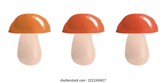 Watercolor mushroom. Mushroom set. Vector clipart isolated on white background.