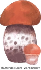 Watercolor Mushroom Vector Art, Hand drawn watercolor mushrooms vector