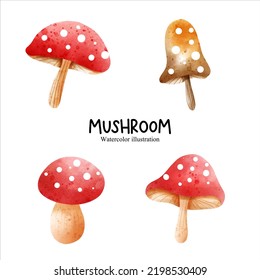 Watercolor mushroom, vegetables vector illustration