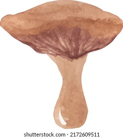 watercolor mushroom with wavy cap vector isolated hand drawn