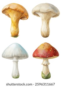 Watercolor mushrooms, colorful fungi, natural illustrations, botanical art, organic shapes, artistic design, nature-inspired visuals.